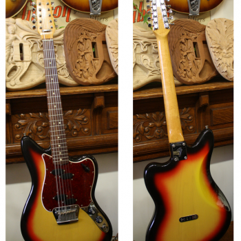 FENDER Electric XII